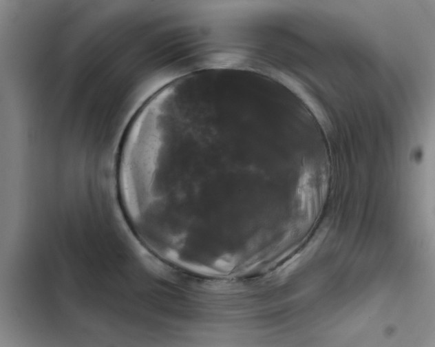 X0000102491434200808221720