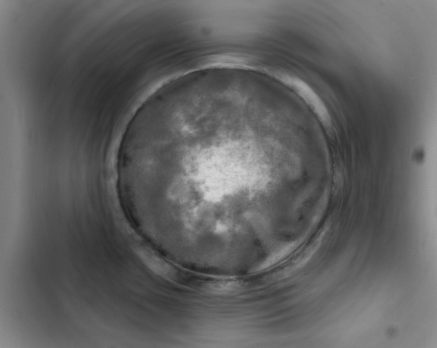 X0000102491435200808221720