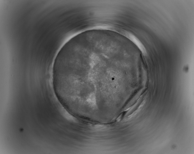 X0000102491436200808221720