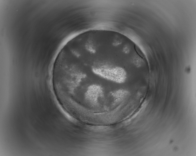 X0000102491437200808221720