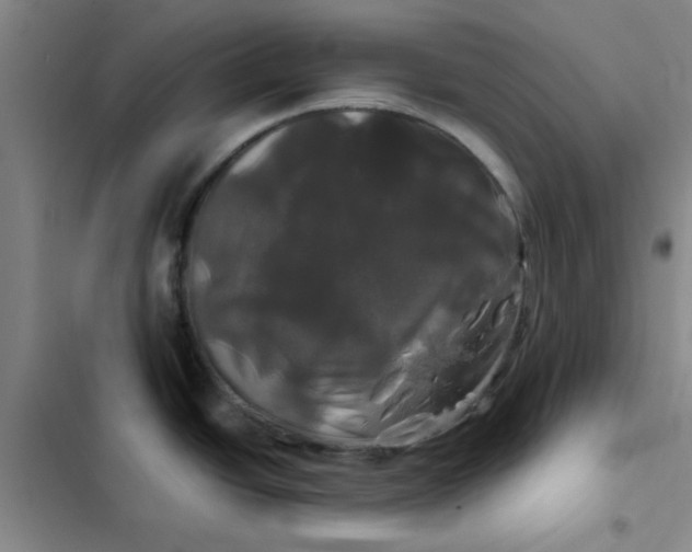 X0000102491438200808221720