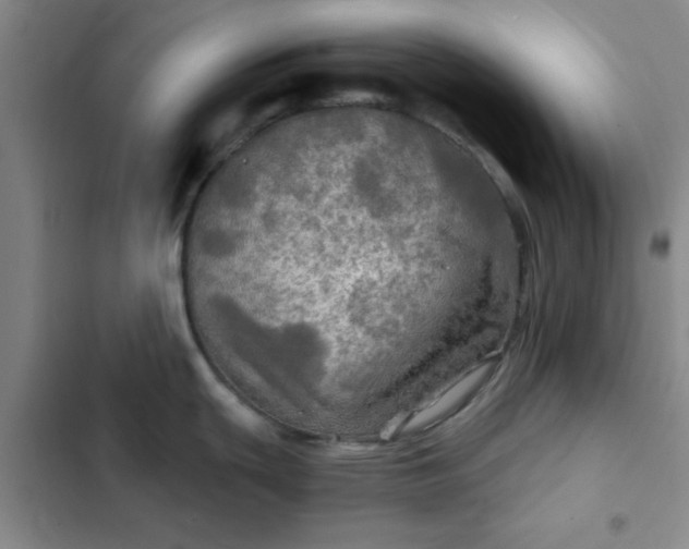 X0000102491439200808221720