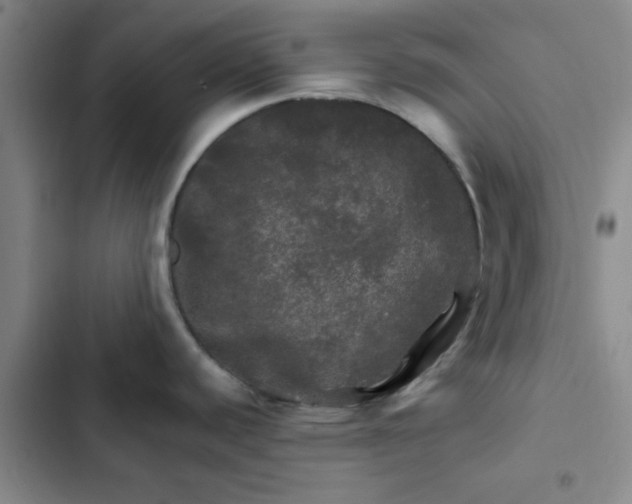 X0000102491440200808221720