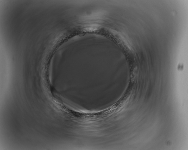 X0000102491441200808221719