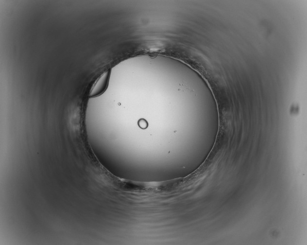 X0000102491442200808221719