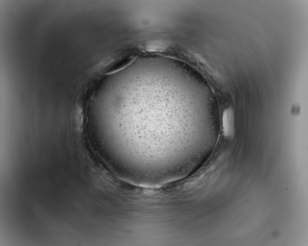 X0000102491443200808221719