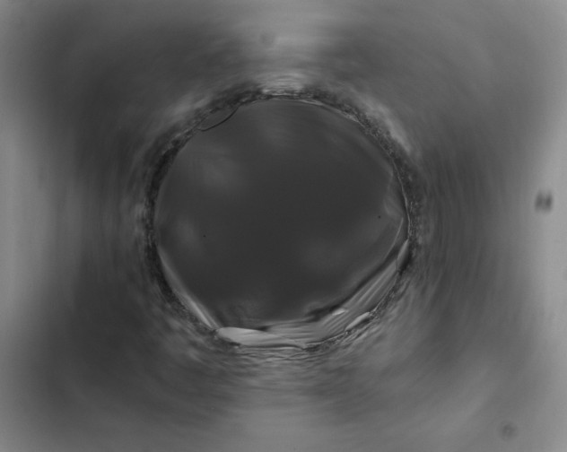 X0000102491445200808221719