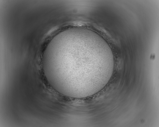 X0000102491446200808221719