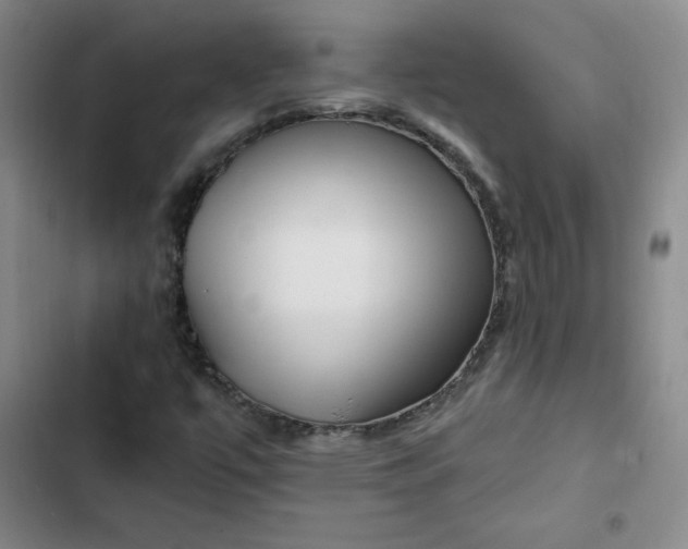 X0000102491447200808221719