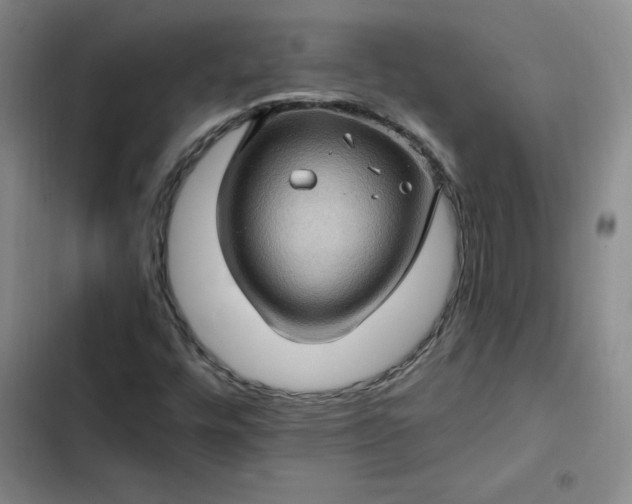 X0000102491448200808221719