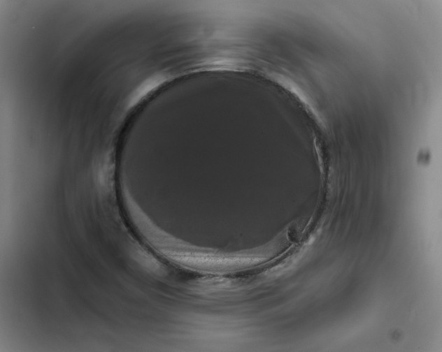 X0000102491450200808221719