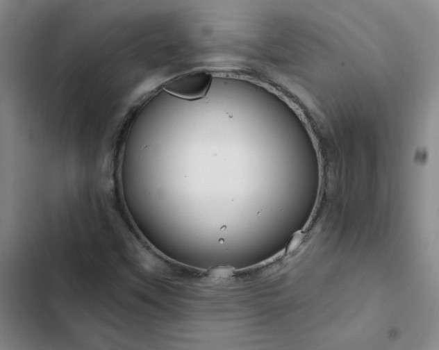 X0000102491451200808221719