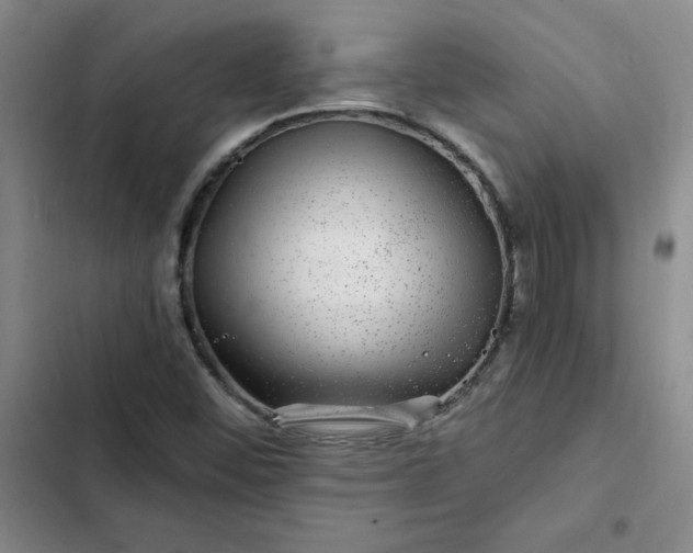 X0000102491452200808221719