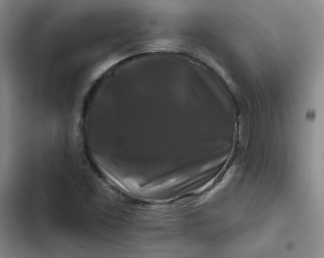 X0000102491453200808221719