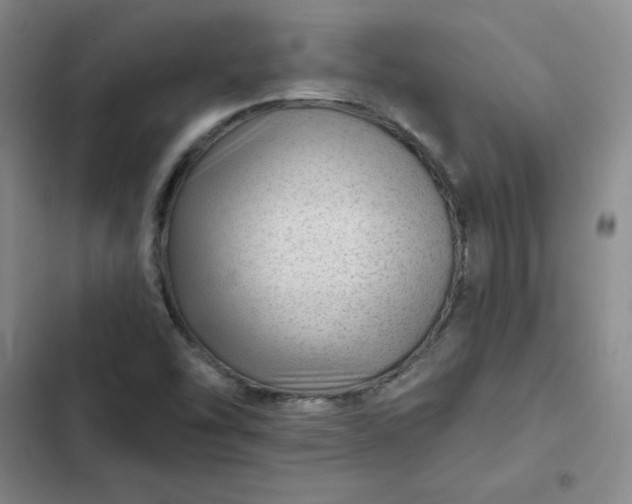 X0000102491454200808221719