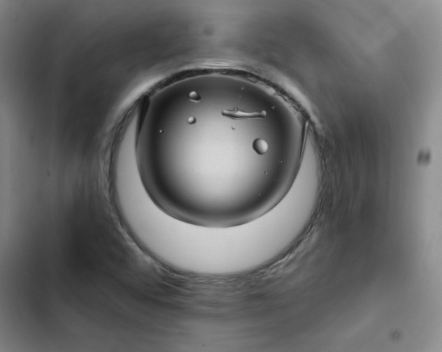 X0000102491456200808221719