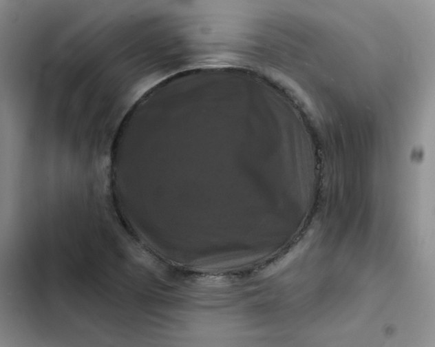 X0000102491457200808221719