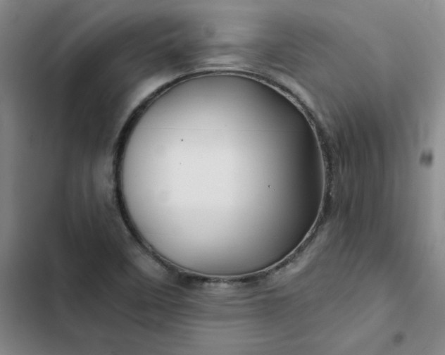 X0000102491458200808221719