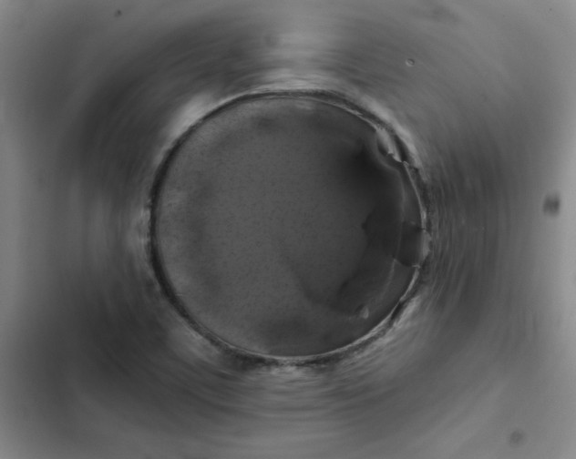 X0000102491459200808221719