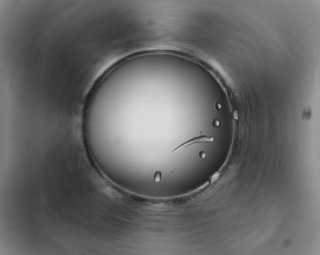 X0000102491460200808221719