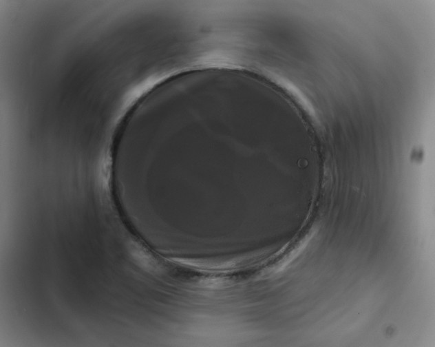 X0000102491461200808221719