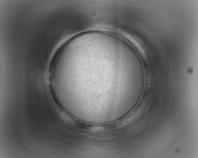 X0000102491462200808221719