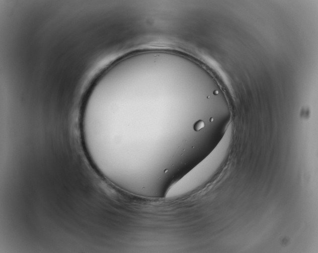 X0000102491464200808221719