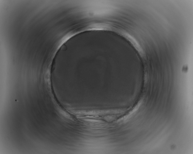 X0000102491465200808221719