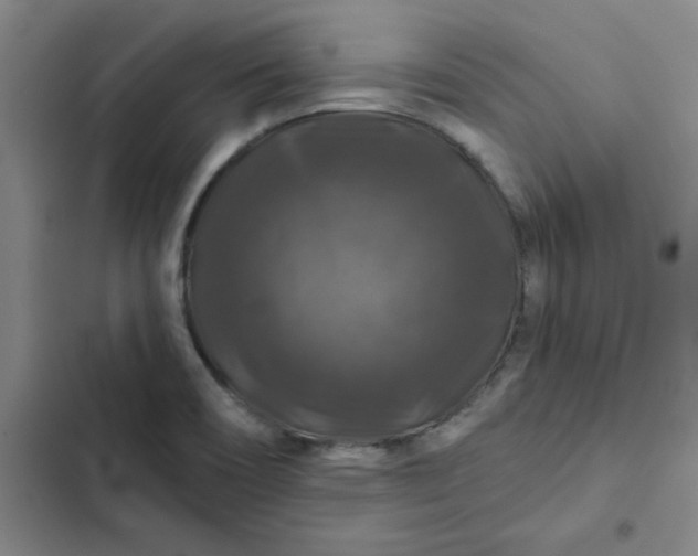 X0000102491466200808221719