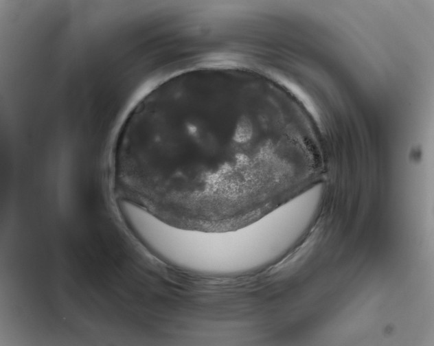 X0000102491467200808221719