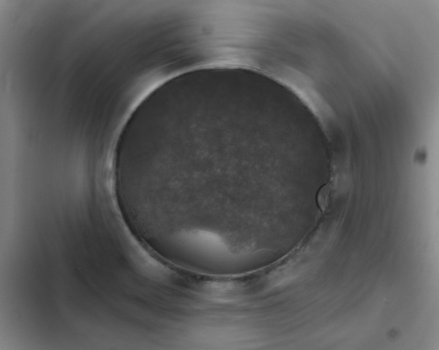 X0000102491468200808221719