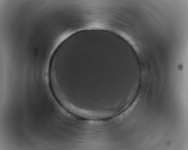 X0000102491469200808221719