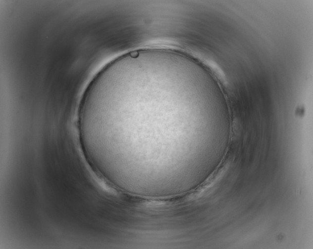 X0000102491470200808221719