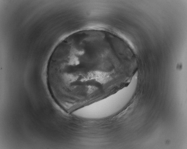 X0000102491471200808221719