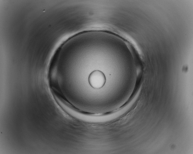 X0000102491472200808221719