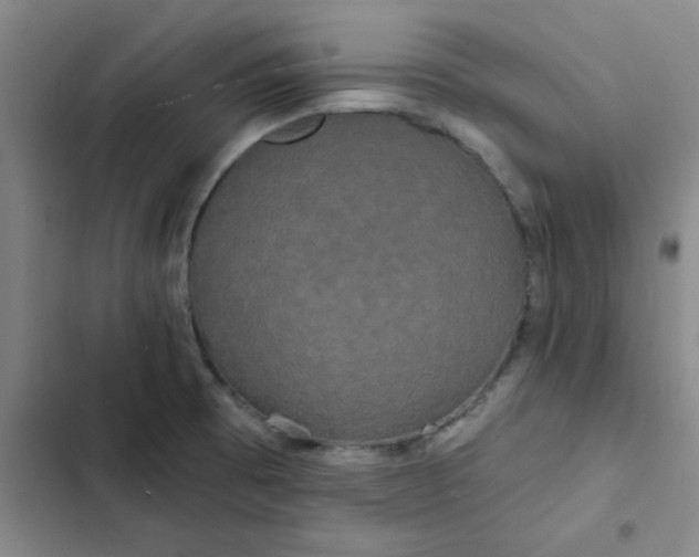 X0000102491473200808221719