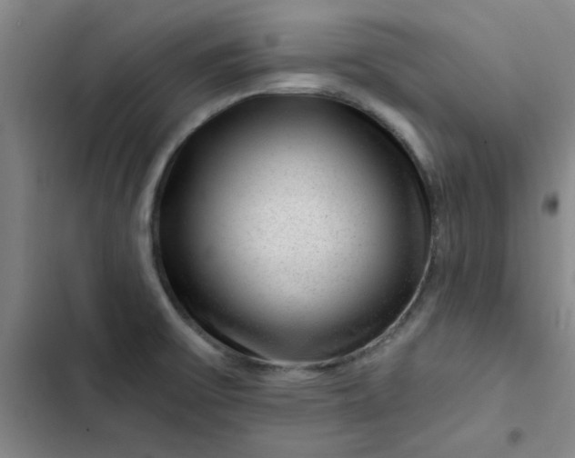 X0000102491475200808221719