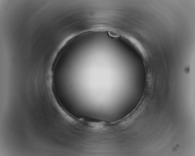 X0000102491476200808221719