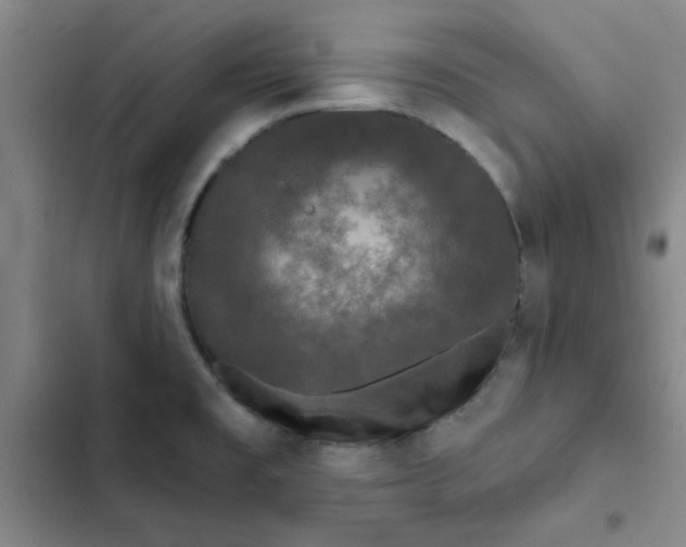 X0000102491477200808221719