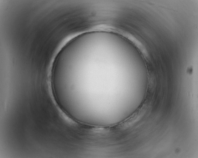 X0000102491478200808221719