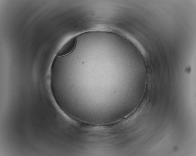 X0000102491479200808221719