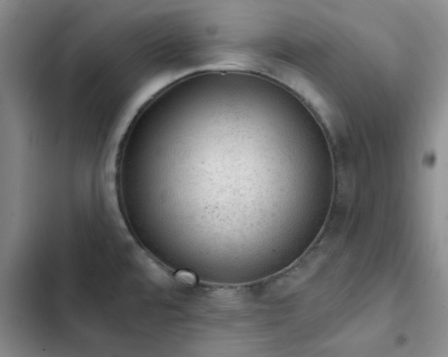 X0000102491480200808221719