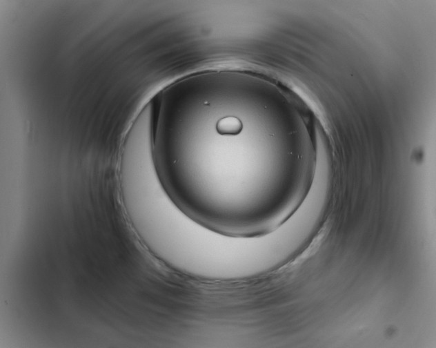 X0000102491481200808221719