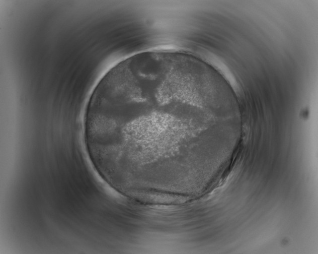 X0000102491483200808221719