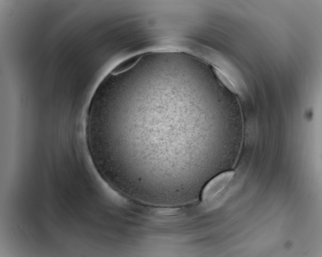 X0000102491484200808221719