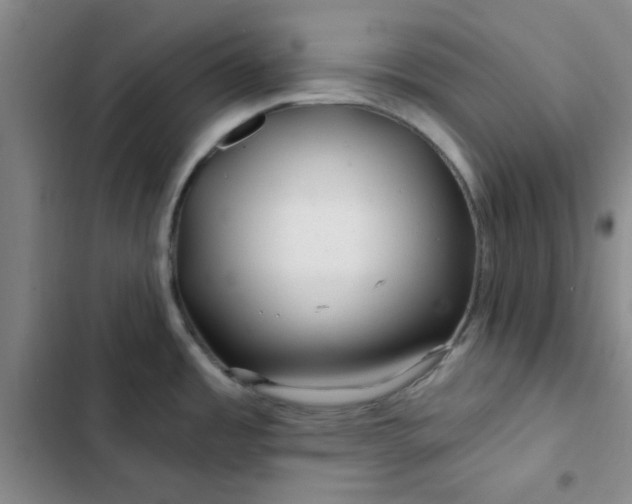 X0000102491485200808221719