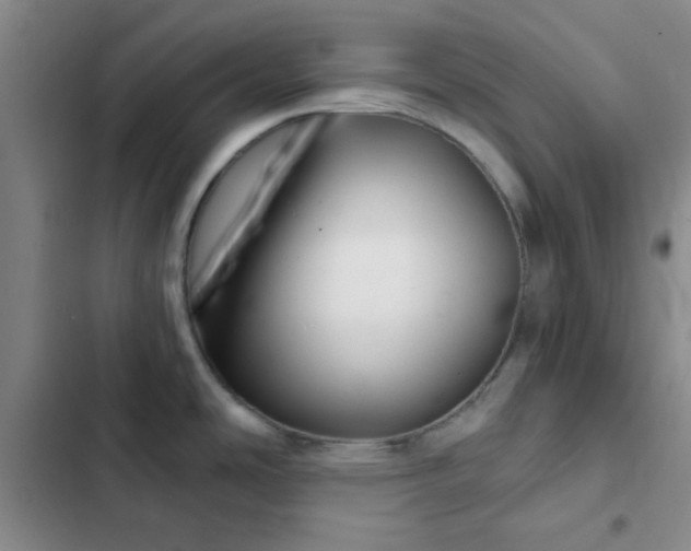 X0000102491486200808221719