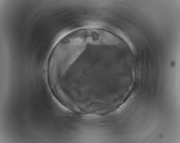 X0000102491487200808221719