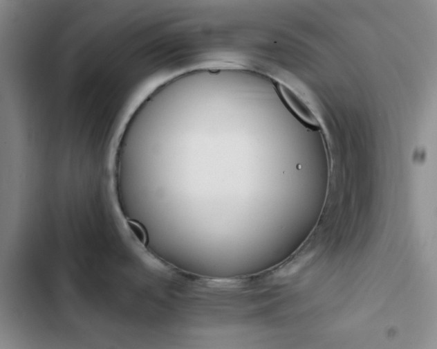 X0000102491488200808221719