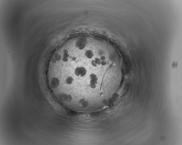 X0000102491489200808221718